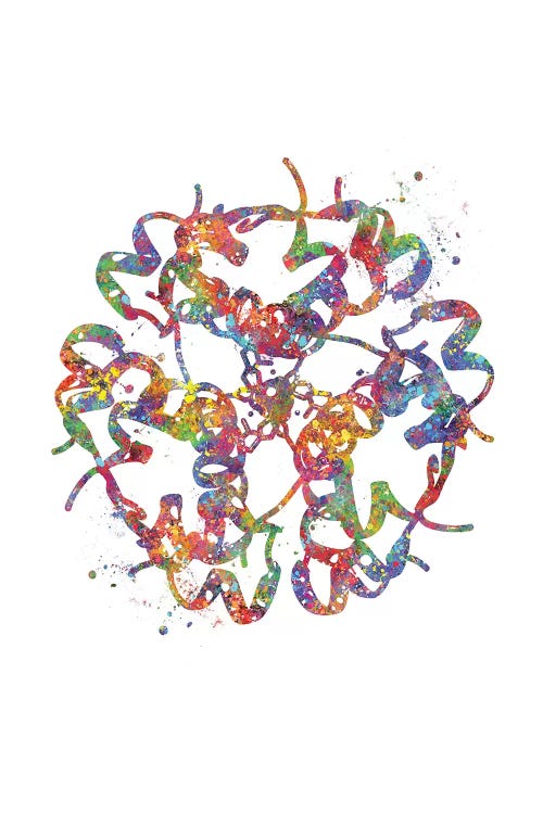 Insulin Structure