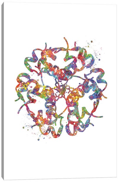 Insulin Structure Canvas Art Print - Chemistry Art