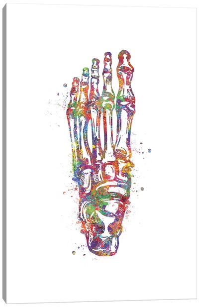 Joint Foot Canvas Art Print - Anatomy Art