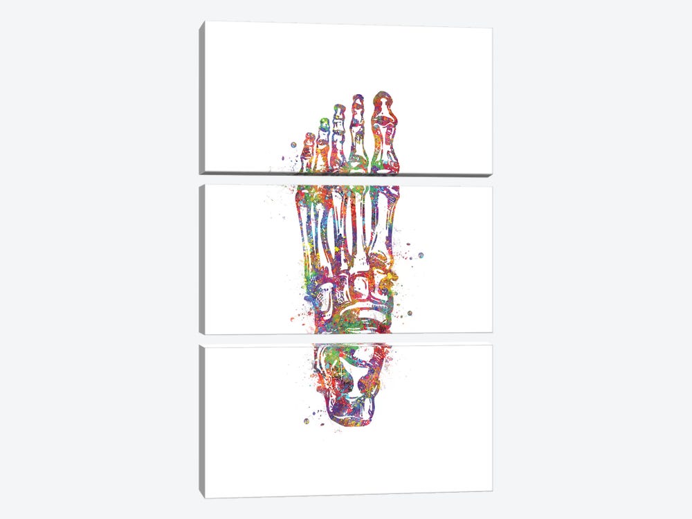 Joint Foot by Genefy Art 3-piece Art Print