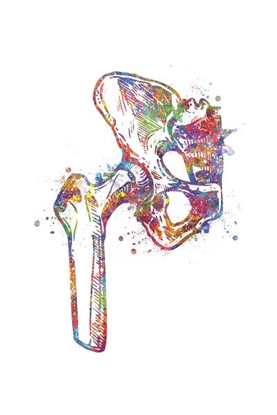 Science: Joint Hip by Genefy Art