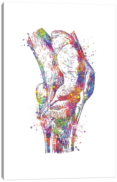 Knee Canvas Art Print - Anatomy Art