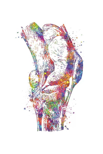 Science: Knee by Genefy Art