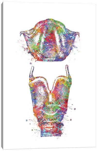 Larynx Canvas Art Print - Anatomy Art