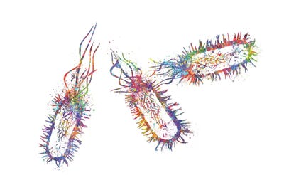 Listeria by Genefy Art canvas print