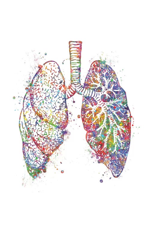 Lungs by Genefy Art wall art