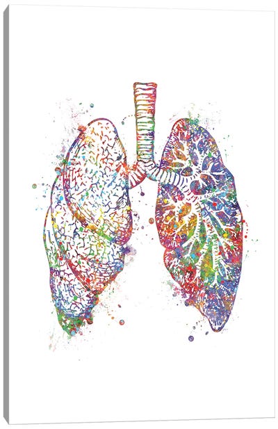 Lungs Canvas Art Print - Anatomy Art