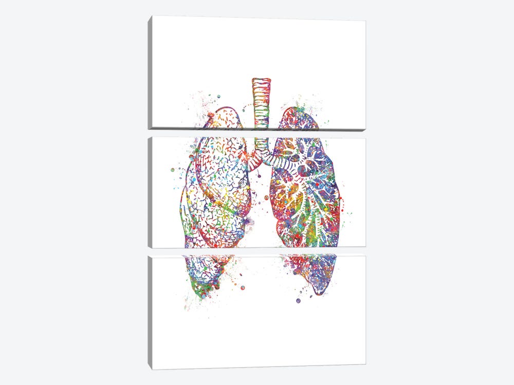 Lungs by Genefy Art 3-piece Canvas Art Print