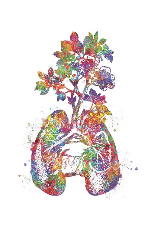 Lungs Flower