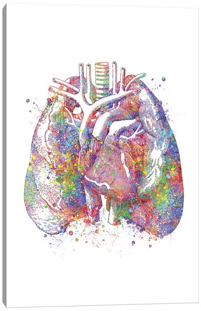 Lungs II Canvas Art Print - Anatomy Art