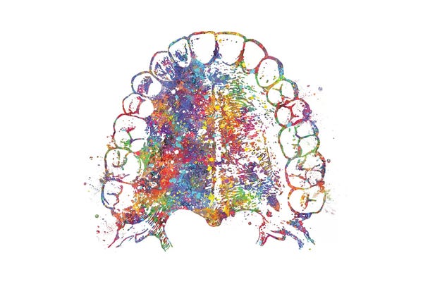 Kids Educational Art: Mouth Jawbone by Genefy Art