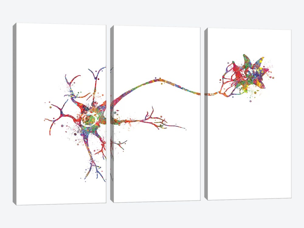 Multi Polar Neuron by Genefy Art 3-piece Canvas Print