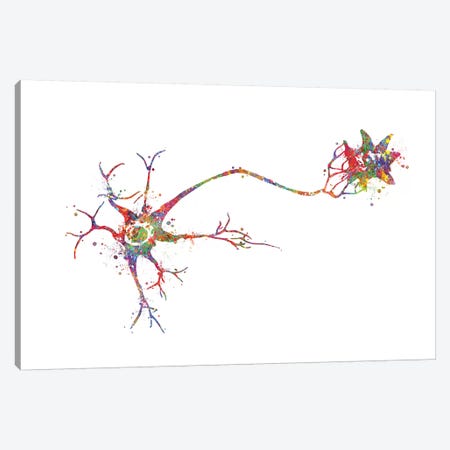 Multi Polar Neuron Canvas Print #GFA89} by Genefy Art Canvas Art