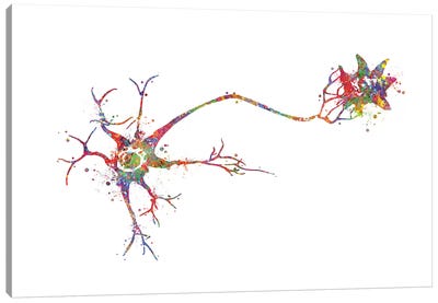 Multi Polar Neuron Canvas Art Print - Genefy Art