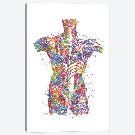 Muscle Back Canvas Print #GFA90} by Genefy Art Canvas Print
