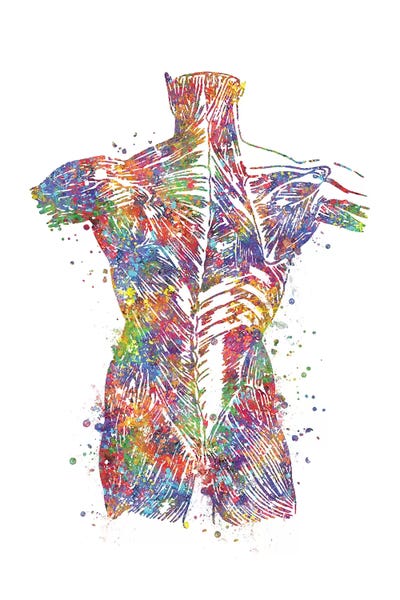 Science: Muscle Back by Genefy Art