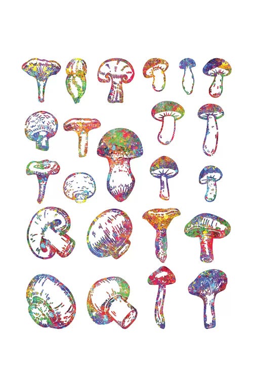 Mushrooms by Genefy Art wall art