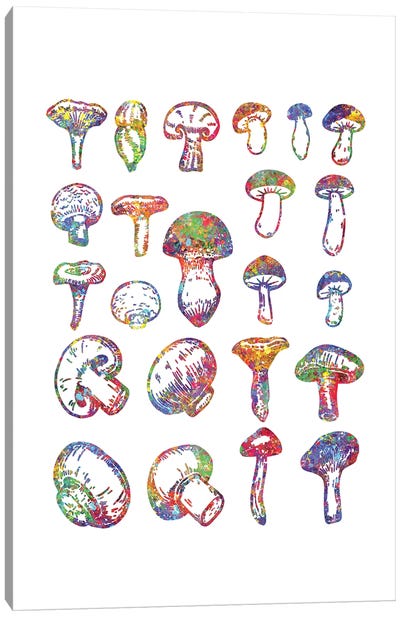 Mushrooms Canvas Art Print - Genefy Art