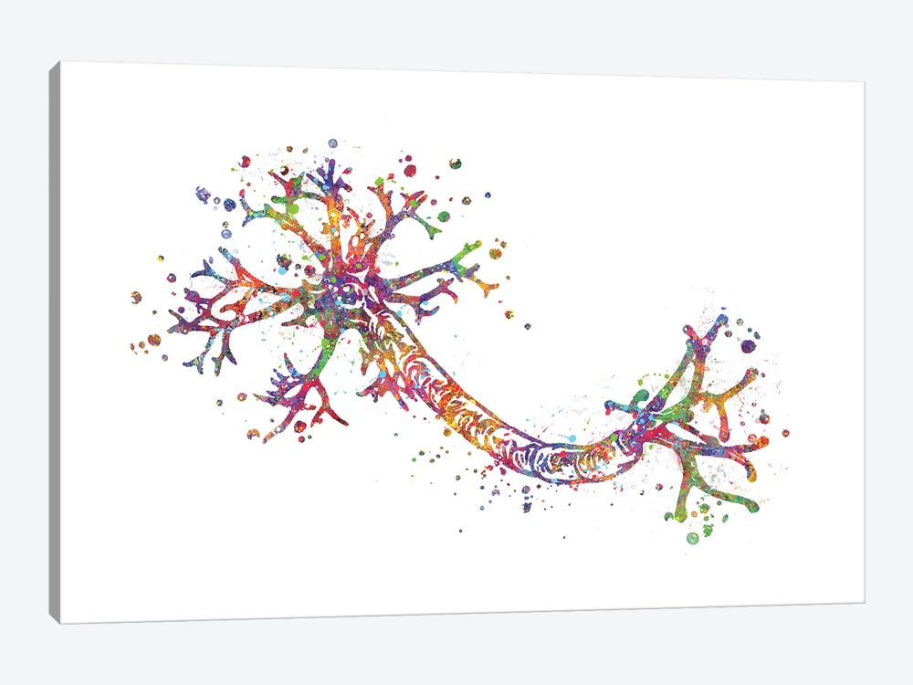 Nerve Cell by Genefy Art 1-piece Canvas Print