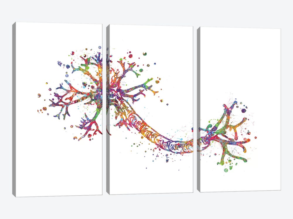 Nerve Cell by Genefy Art 3-piece Canvas Print