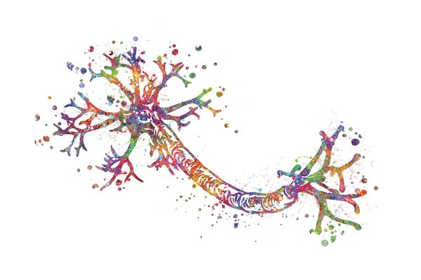 Science: Nerve Cell by Genefy Art