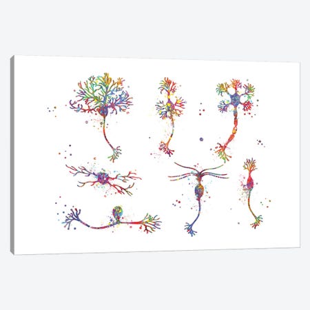 Neuron Cells Canvas Print #GFA96} by Genefy Art Canvas Art