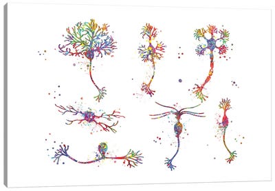 Neuron Cells Canvas Art Print - Genefy Art