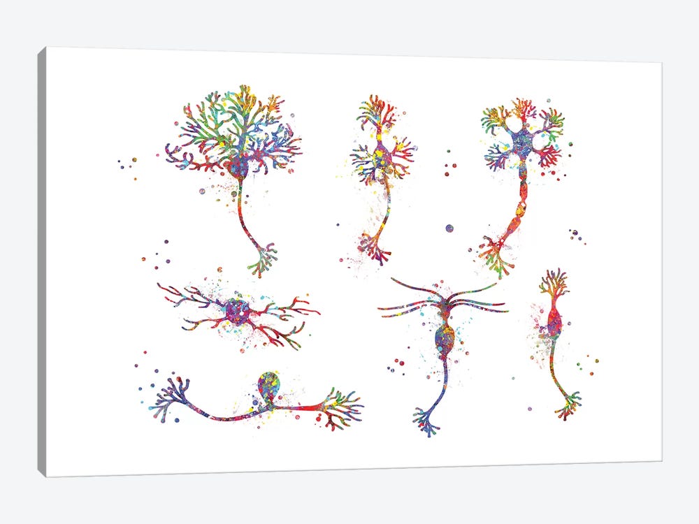 Neuron Cells by Genefy Art 1-piece Canvas Print