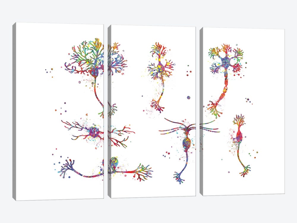 Neuron Cells by Genefy Art 3-piece Art Print