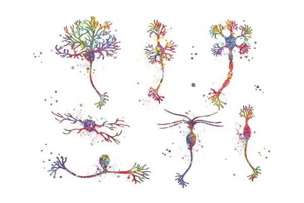 Biology: Neuron Cells by Genefy Art