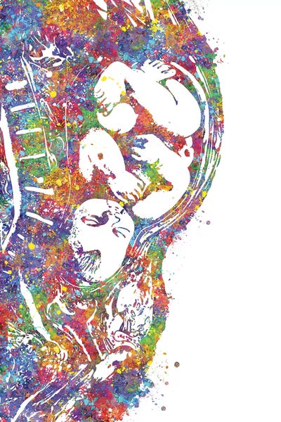 Science: Pregnancy by Genefy Art