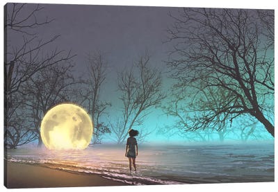 The Lost Moon Canvas Art Print - Dreams Art