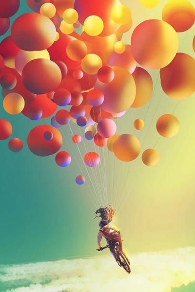 The Sky Traveller
