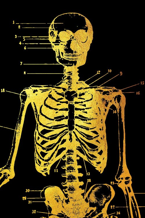 Skeleton Front
