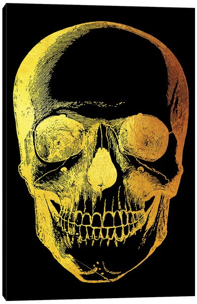 Skull Front Canvas Art Print - Gab Fernando