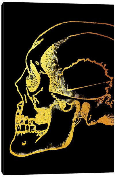 Skull Side Canvas Art Print - Gab Fernando