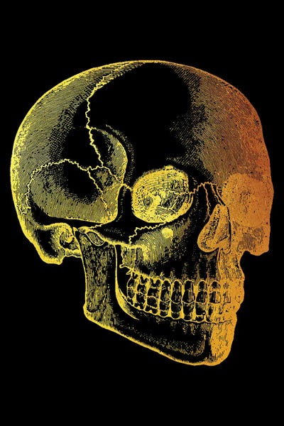 Skull 3D by Gab Fernando canvas print