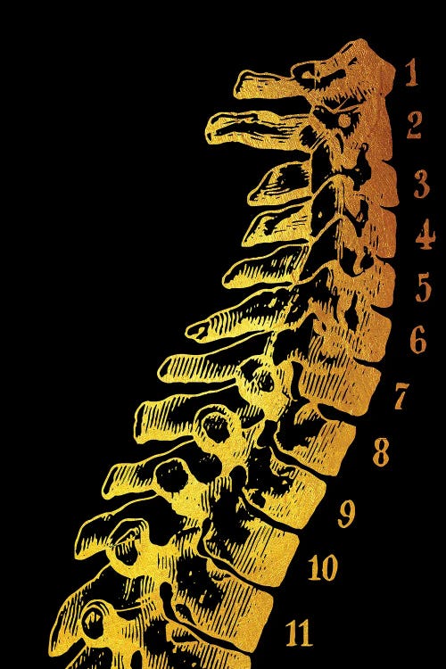 Spine by Gab Fernando wall art