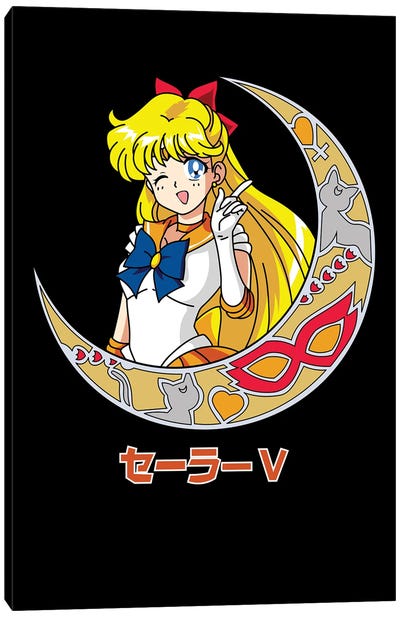 Sailor Moon IV Canvas Art Print