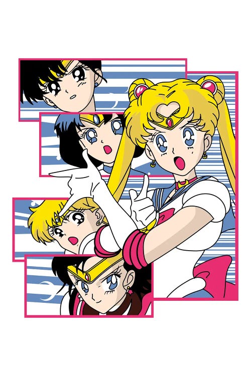 Sailor Moon XI