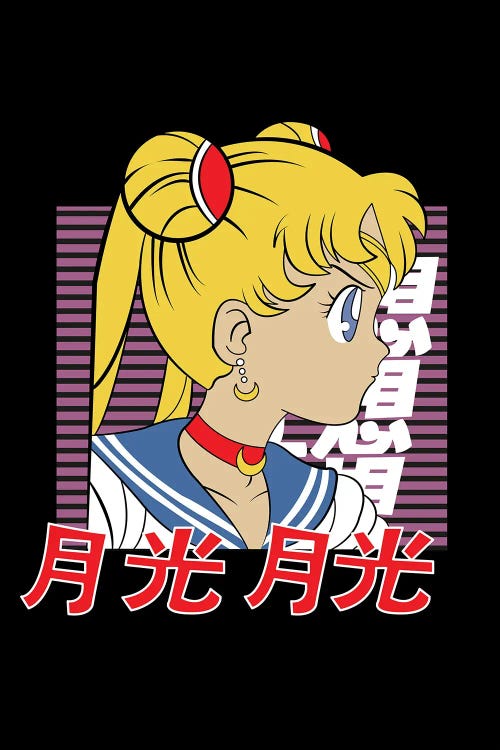 Sailor Moon XIV