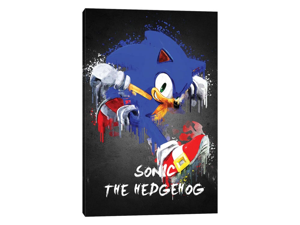Sonic Canvas Painting Kit
