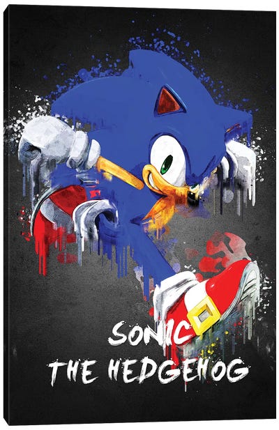 Sonic Canvas Art Print - Gab Fernando