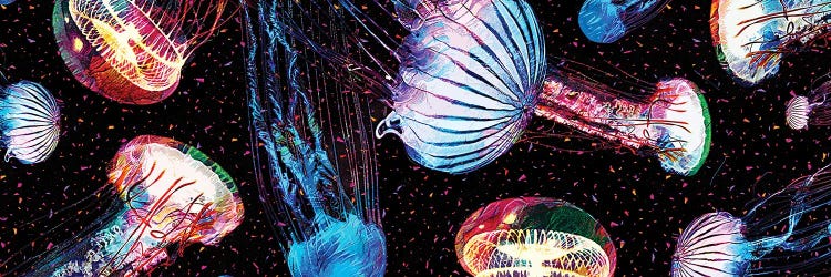 Jellyfish by Gab Fernando wall art