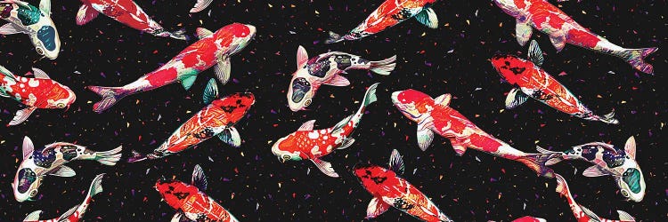 Koi