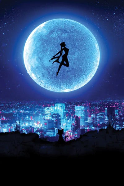 Sailor Moon (TV Show)