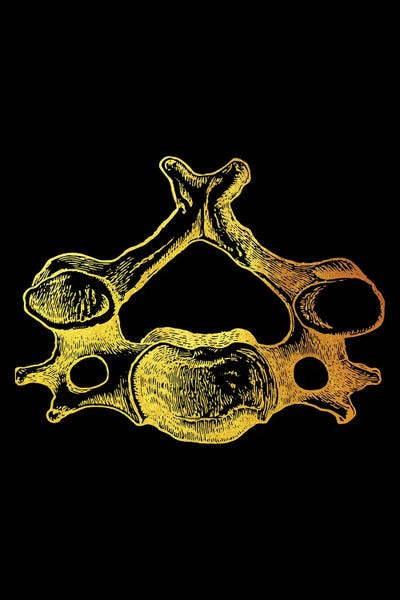 Biology: Hip Bone by Gab Fernando