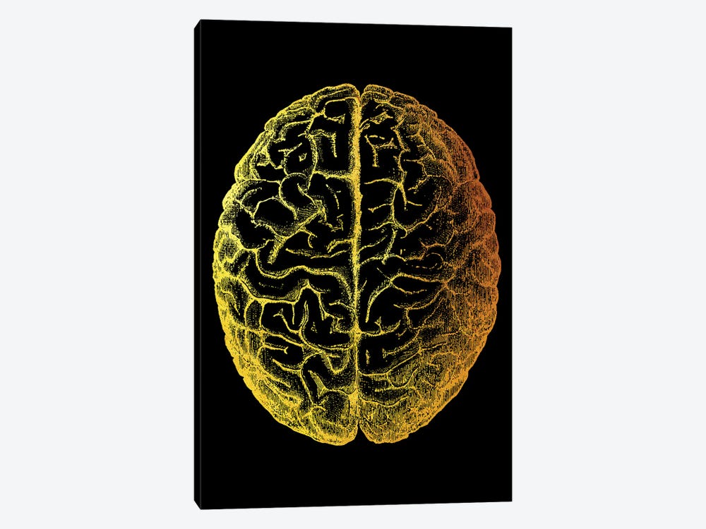 Brain by Gab Fernando 1-piece Canvas Artwork