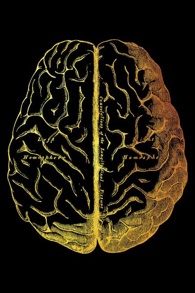 Biology: Brain II by Gab Fernando