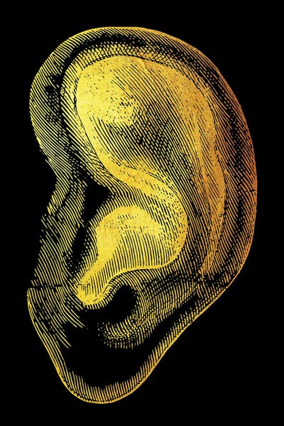 Biology: Ear by Gab Fernando